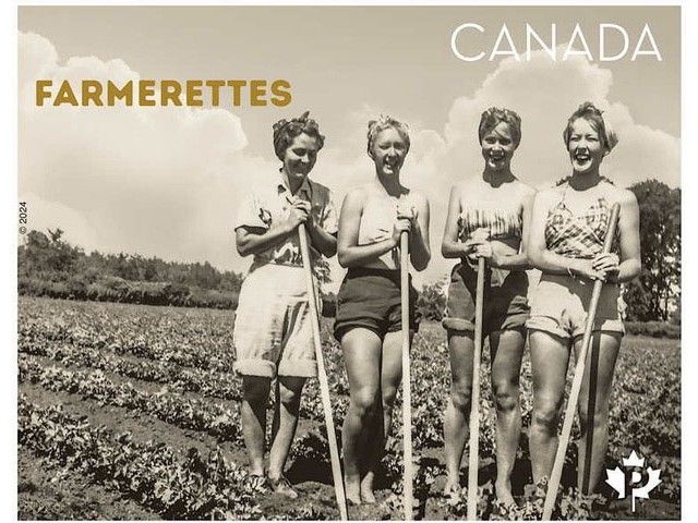 Bruce County Memories: Farmerettes were the unsung heroes on the home front