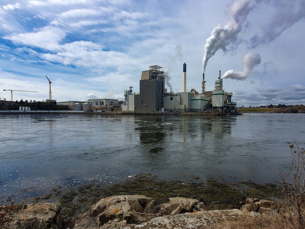 Canada Infrastructure Bank loans $660 million to Irving Pulp & Paper
