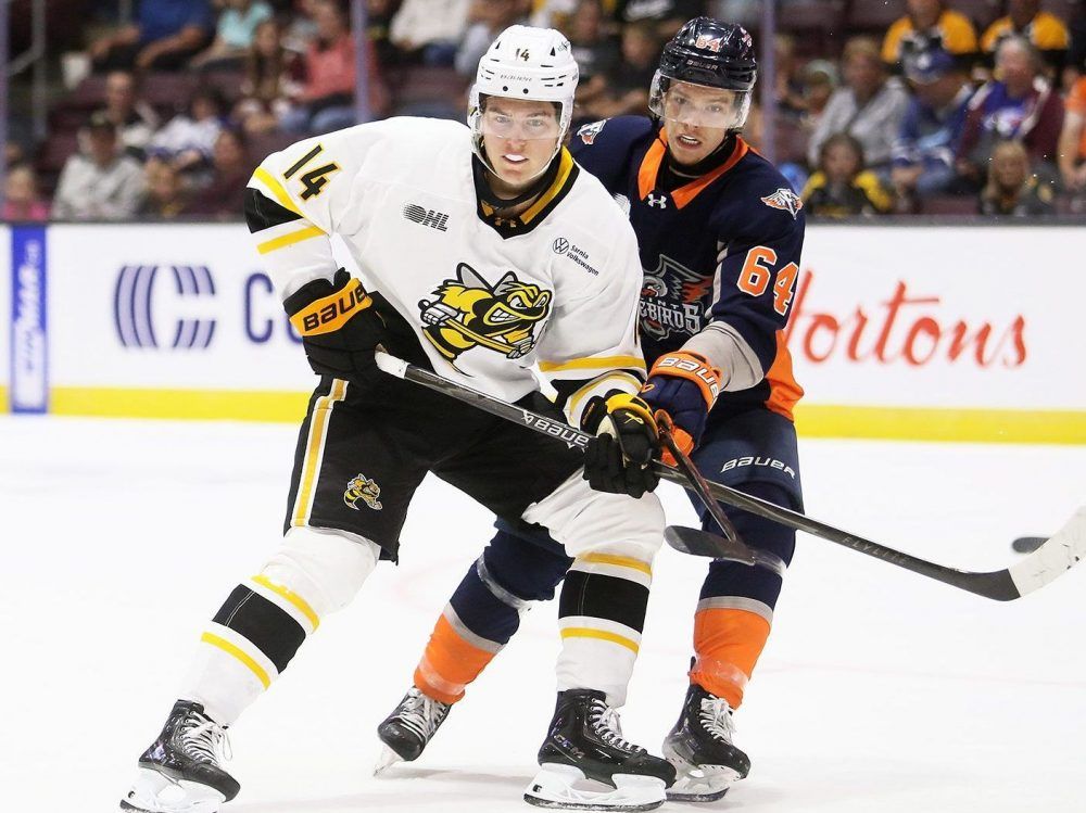 The Sarnia Sting aren’t in sell-off mode as the OHL trade deadline nears. They aren’t looking for a quick fix, either.
