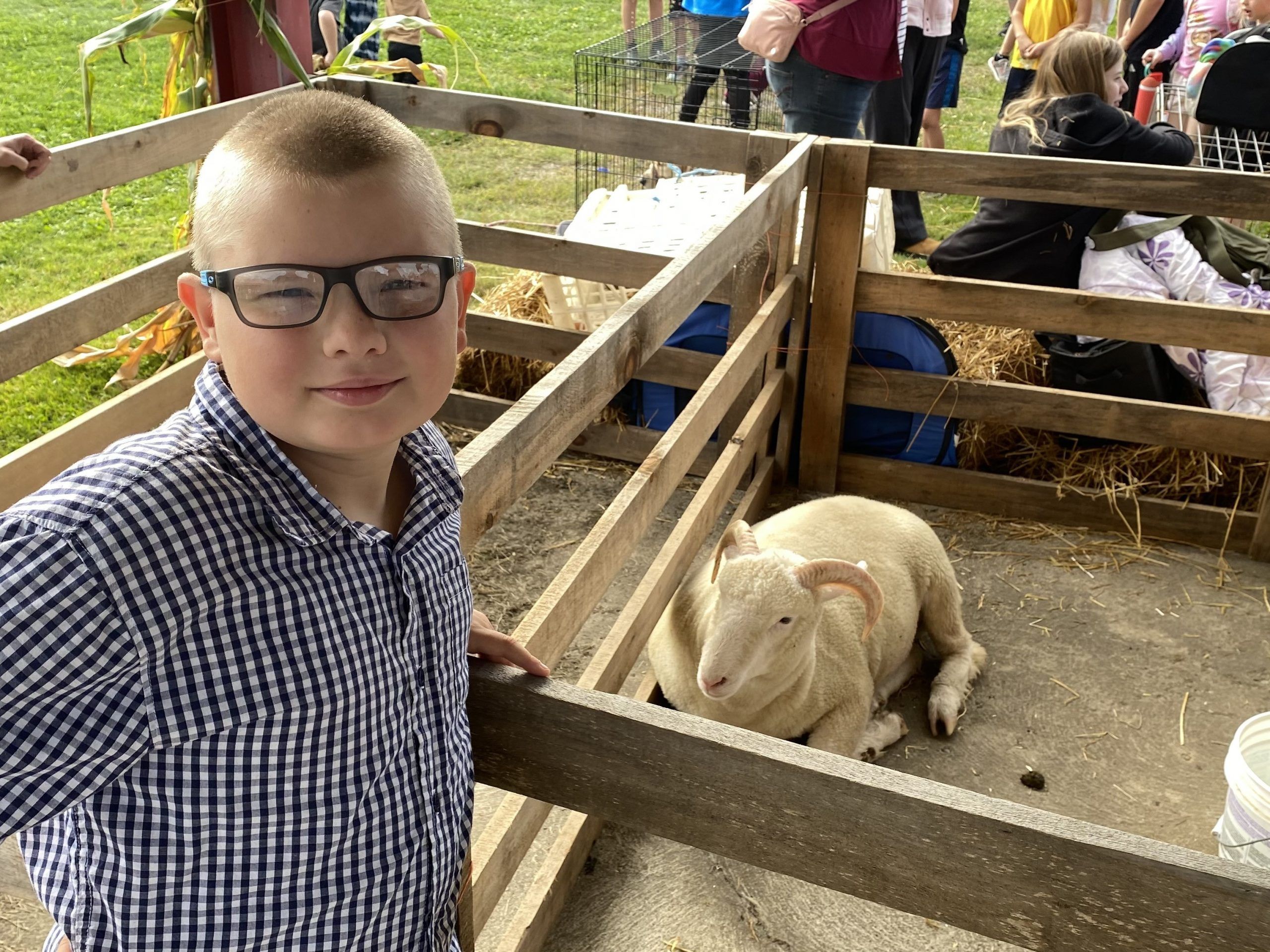 Sydenham Fall Fair keeps up agricultural tradition for next generation