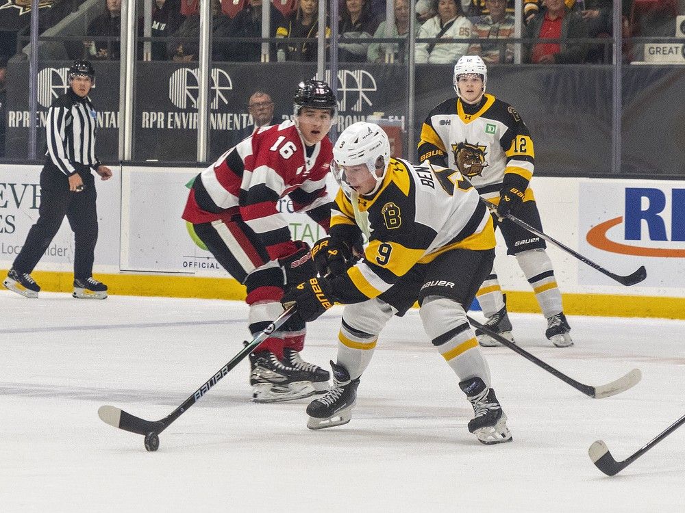 Czech mate: Brantford downs IceDogs