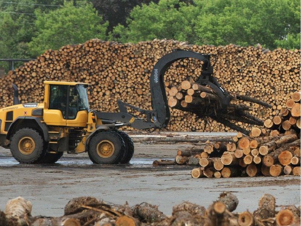 McKenna Institute: Deep roots and digital growth in Canada’s forest future