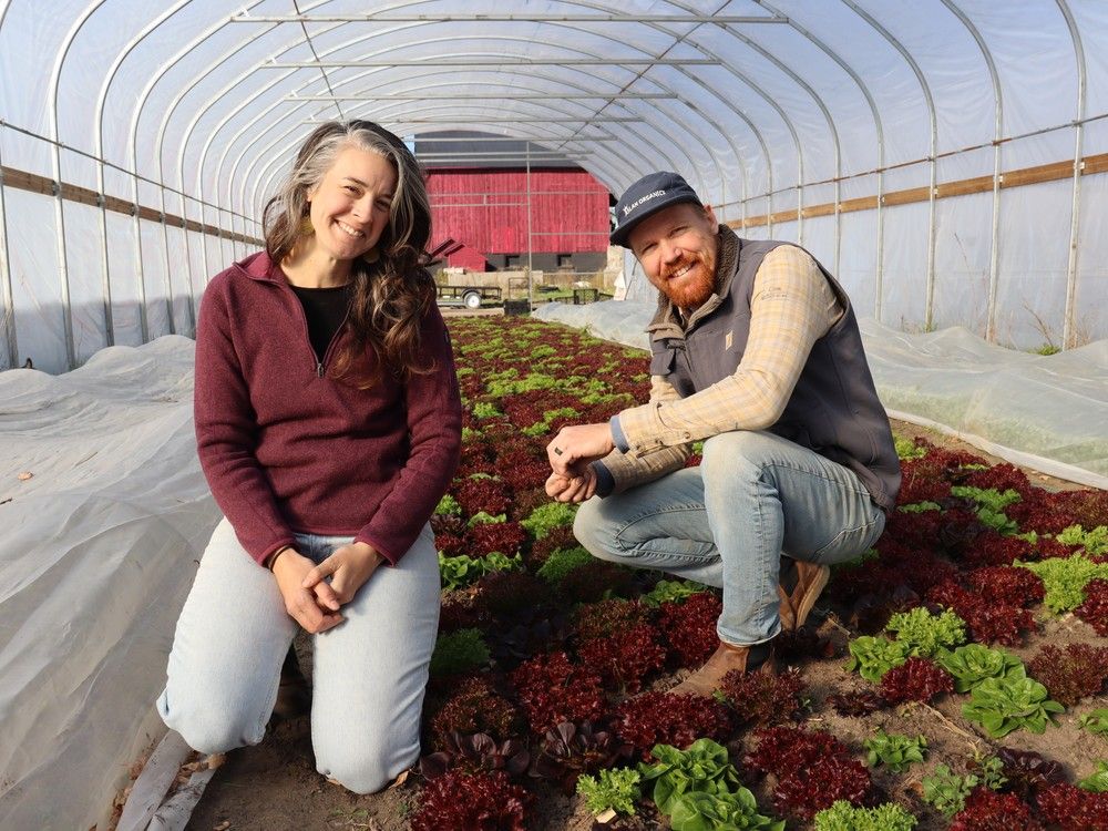 Emma Rozeveld and her husband, Shane Rozeveld, have been organic farmers in Lambton County since 2021.
