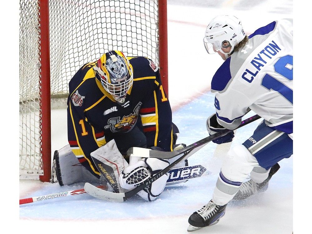 Sudbury Wolves open pre-season play with win over Barrie Colts