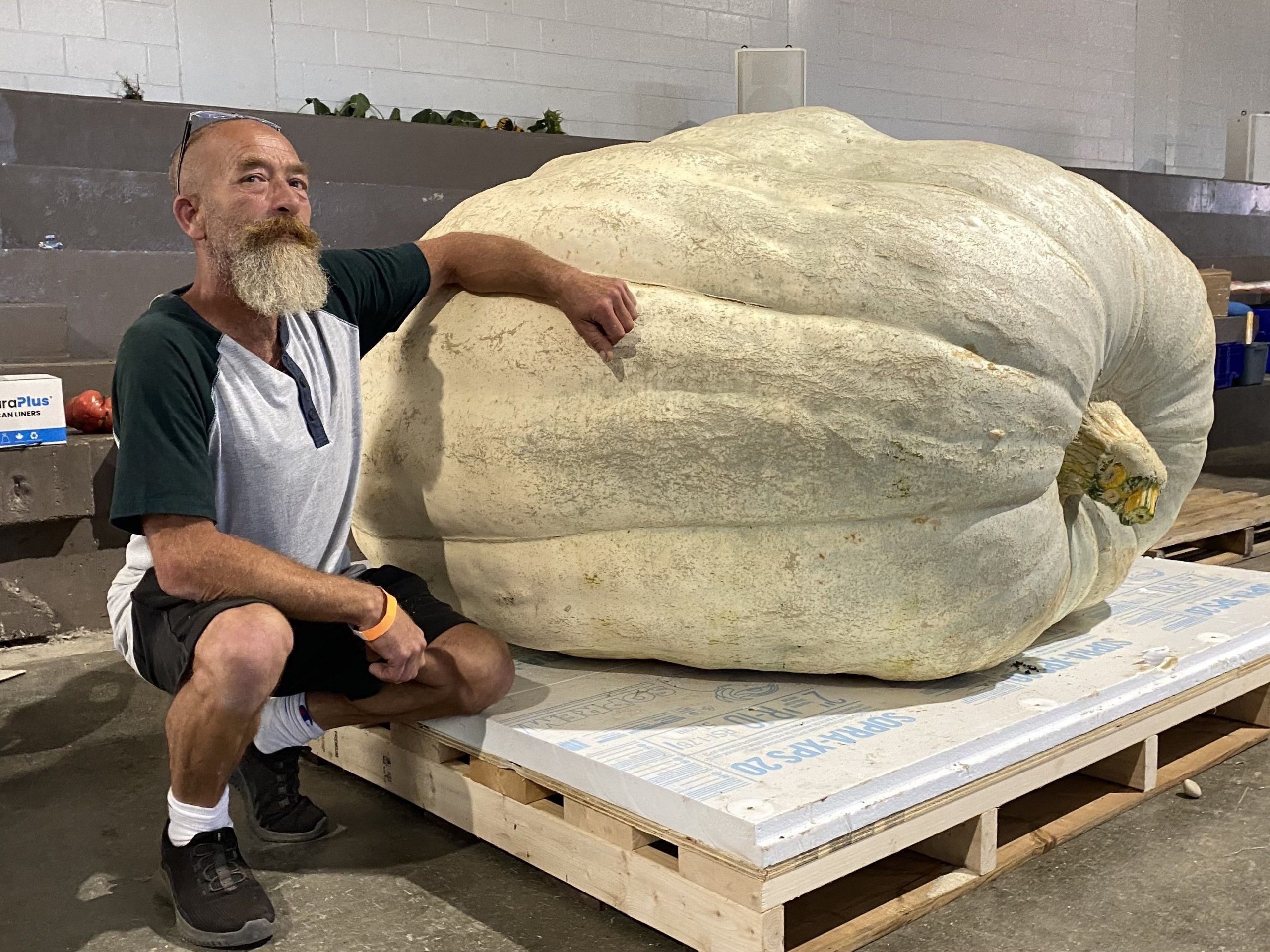 Kincardine man is 2025 Port Elgin Pumpkinfest king