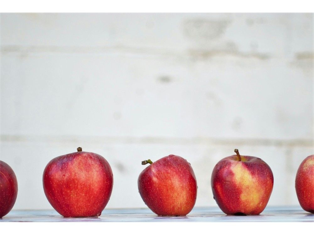 Metro fills gap in school meals for Sudbury kids over holiday