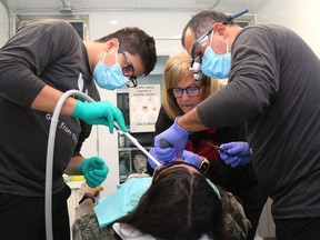 Gift from the Heart provides free dental care at Belleville HART Hub Gift from the Heart provides free dental care at Belleville HART Hub