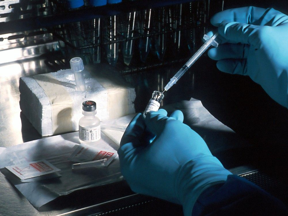 Opinion: Scientific rigour cures disease, it could also cure inefficient governance
