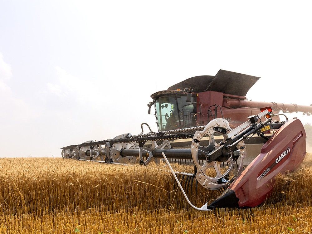 Researchers make nitrogen-fixing wheat