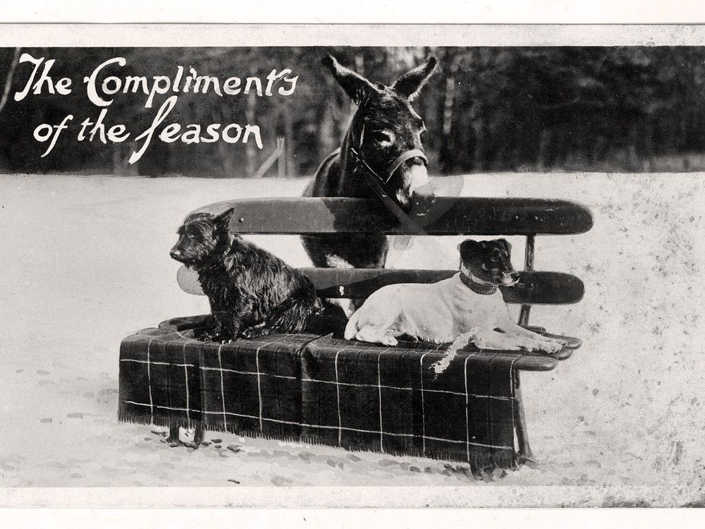 Reflections: The holiday tradition of the mincemeat pie