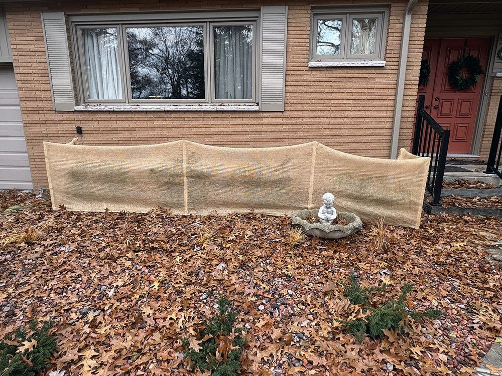 It was an odd look I got from my neighbour a few days ago when I dragged six garden hoses from the shed.