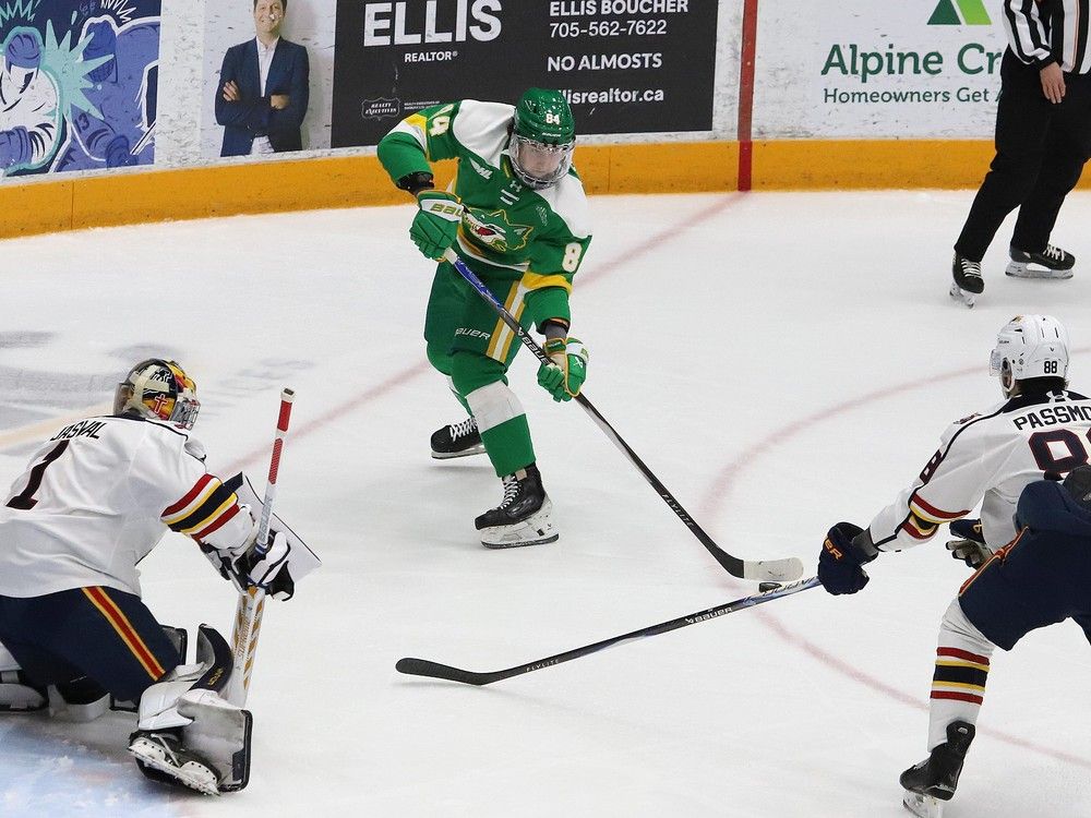 Wolves imports Artem Gonchar, Jan Chovan finding their way in Sudbury