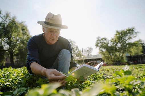 Farmer’s Almanac to cease publication