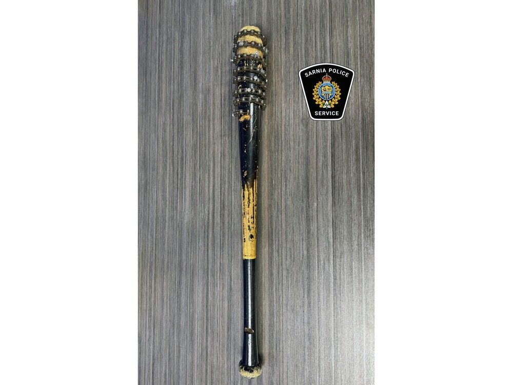 A Sarnia man was arrested and charged with assault after a bat wrapped in a chain was seized amid a dispute between two roommates.