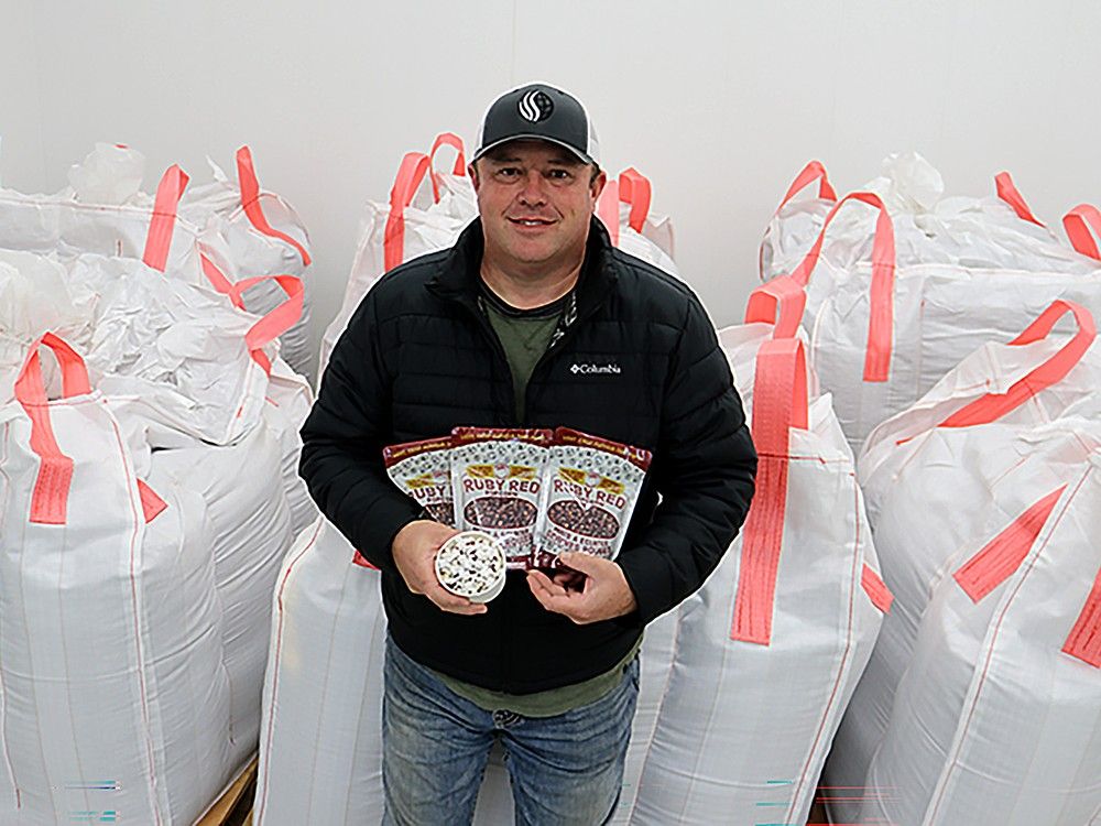 Farmer Brad Snobelen grows popcorn market one row at time