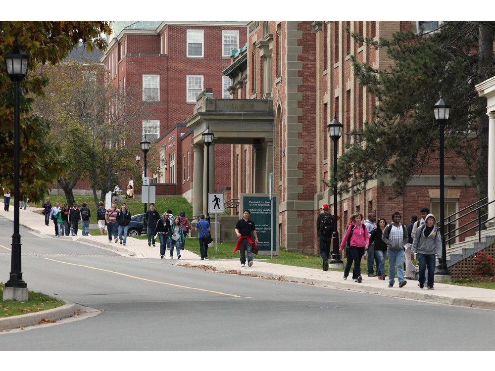 N.B. post-secondary schools need better funding as international student cap takes bite: officials