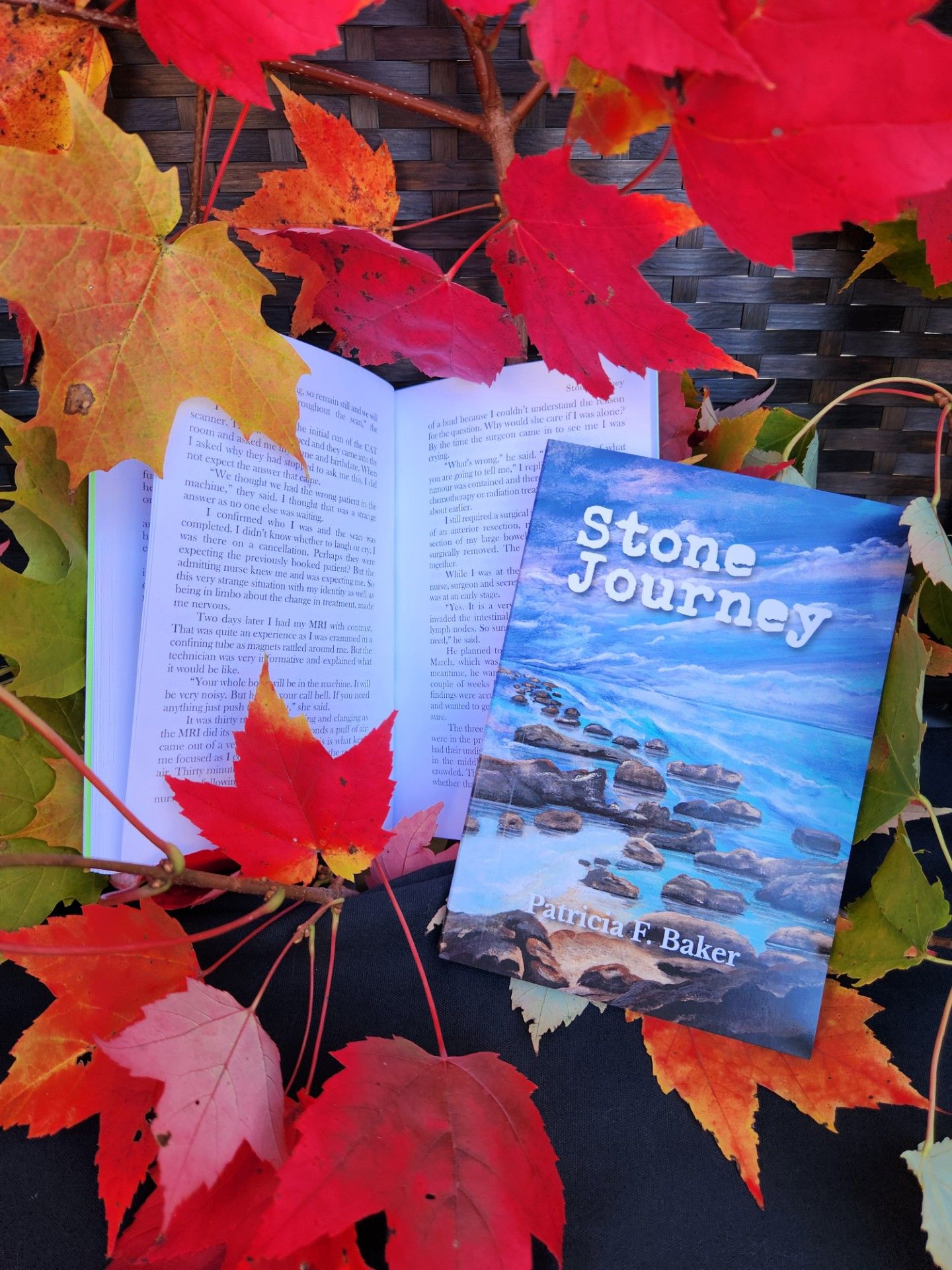 Stone Journey is available via Patricia Baker’s website www.rainmakerscreativeworks.ca