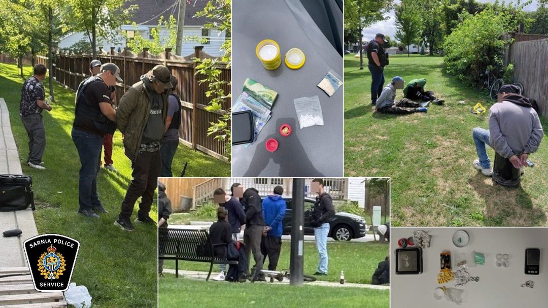 A Sarnia judge told David Grego it’s pretty obvious what was going on.