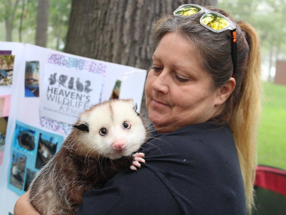 The founder of Heaven’s Wildlife Rescue is asking members of the public making year-end donations to think of the centre in Lambton County.