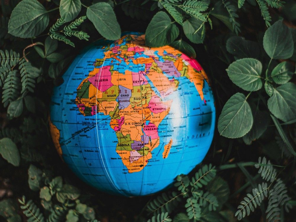 Henry Srebrnik: There are reasons why democracy fails in Africa