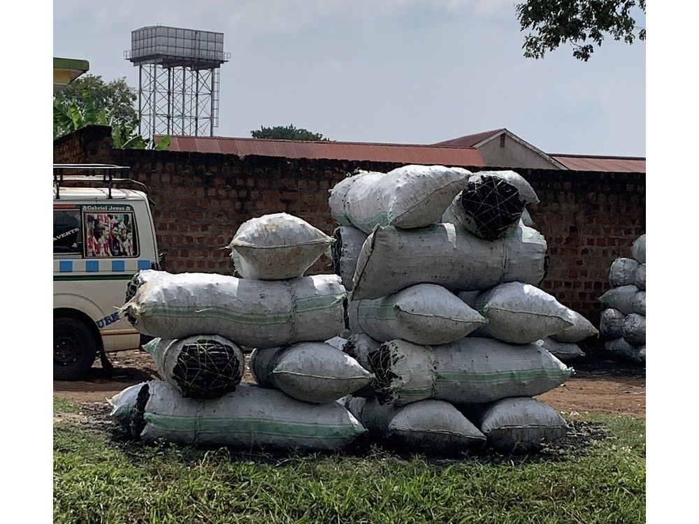 GARDEN CLIPPINGS: Trees' benefits greatest when they are alive