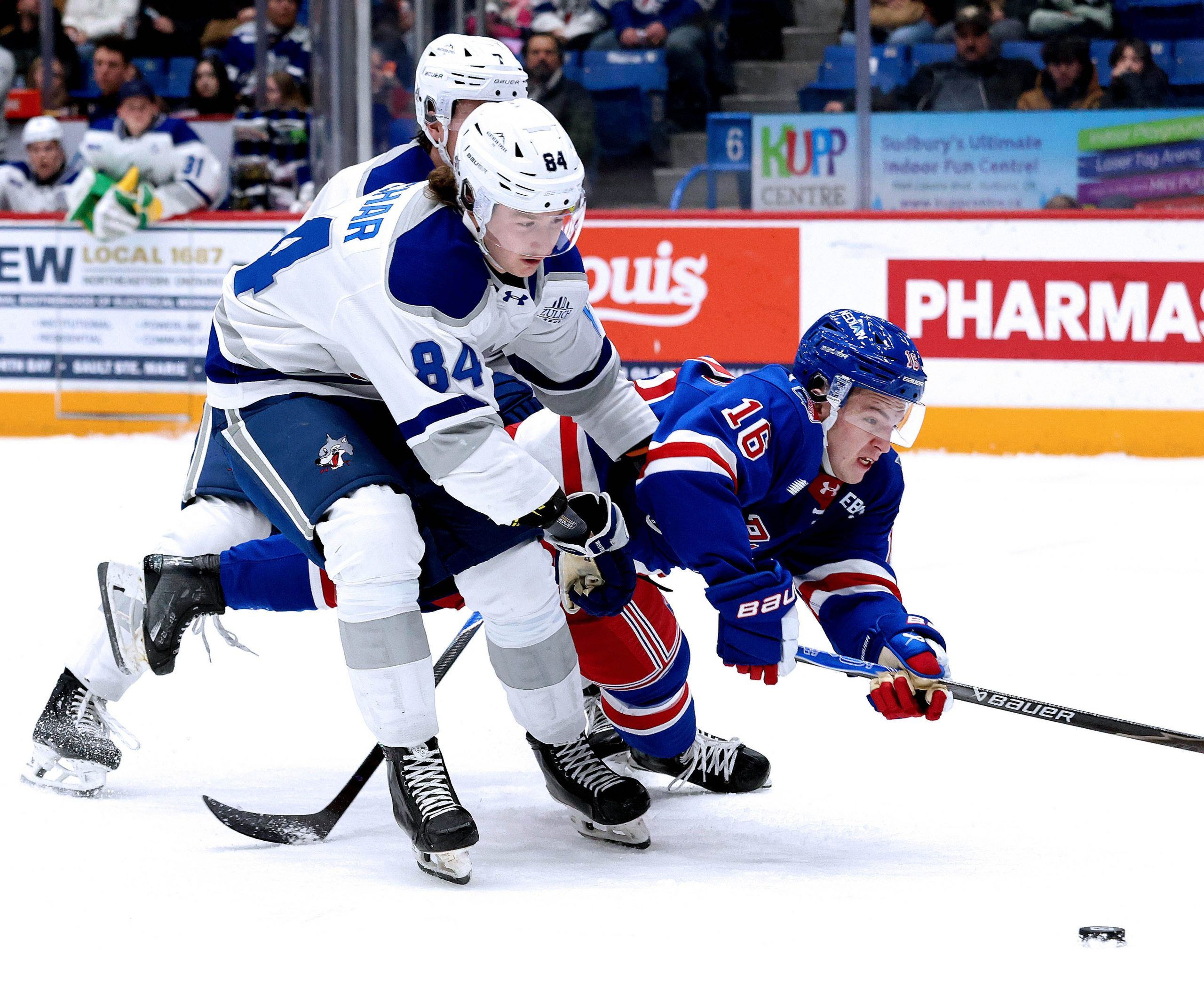 Artem Gonchar leads Sudbury Wolves’ 2026 award-winners