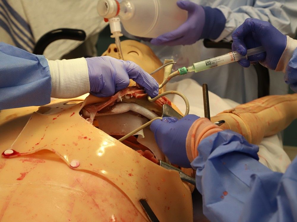 Cambrian College, HSN teams create a one-of-a-kind medical manikin