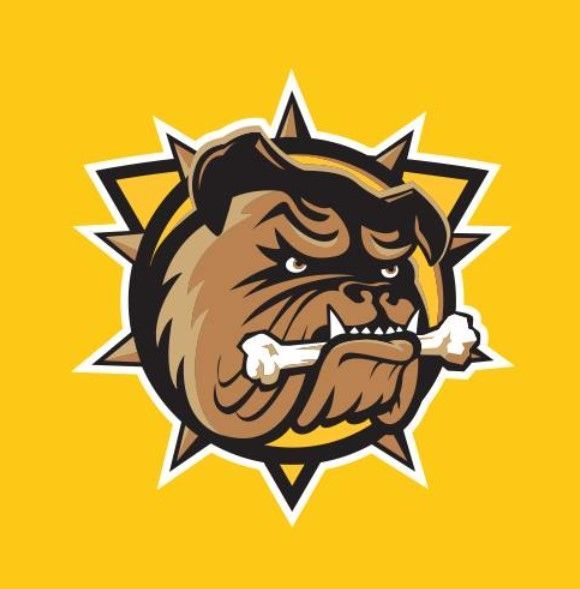 Brantford Bulldogs to ‘remain in Brantford forever’