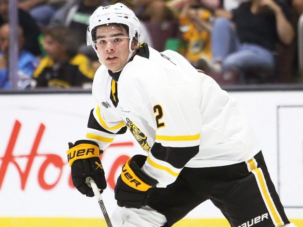 Sarnia Sting's Ben Pickell (12) plays against the Niagara IceDogs at Progressive Auto Sales Arena in Sarnia, Ont., on Friday, Oct. 3, 2025. Mark Malone/Chatham Daily News/Postmedia Network