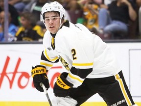 Sarnia Sting's Ben Pickell (12) plays against the Niagara IceDogs at Progressive Auto Sales Arena in Sarnia, Ont., on Friday, Oct. 3, 2025. Mark Malone/Chatham Daily News/Postmedia Network