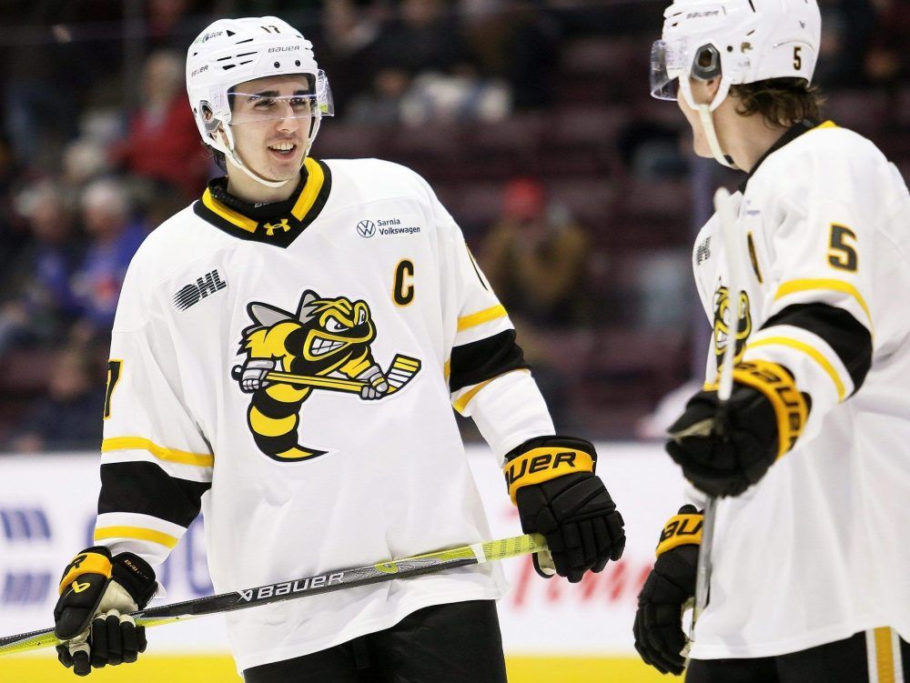 Sarnia Sting hungry for turnaround after brutal three-year stretch