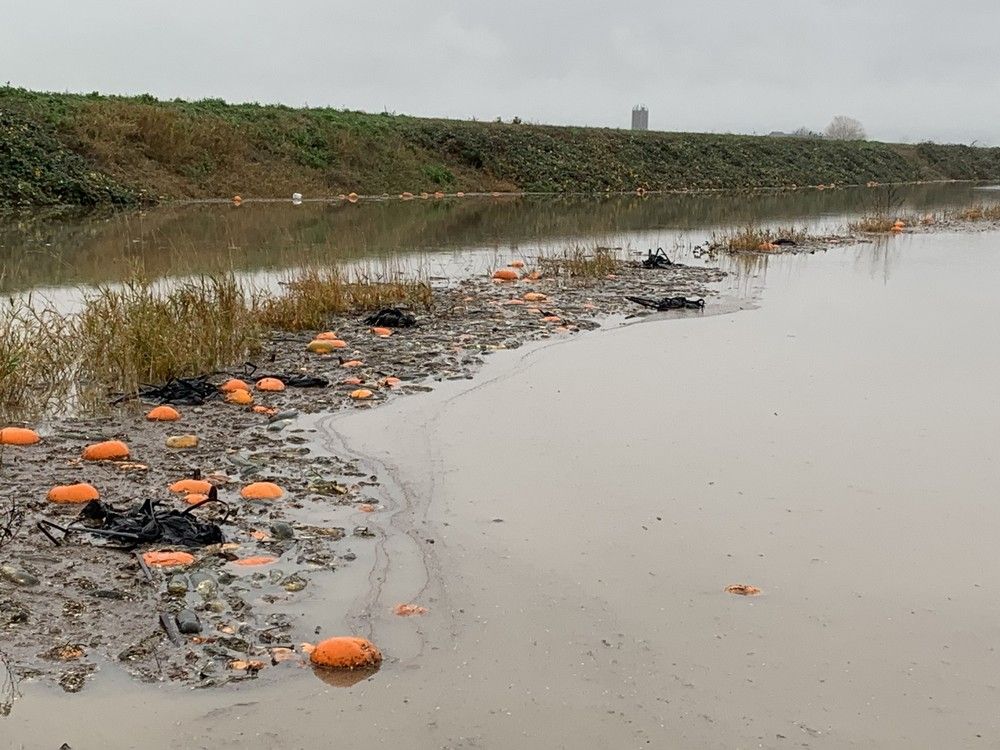 Farmgate: Christmastime thoughts to those Western farmers dealing with flooding