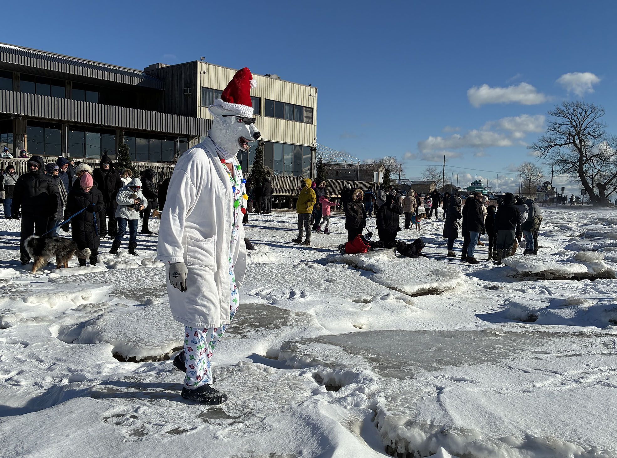 Plunging into the new year: Port Dover polar bear dip attracts large crowd