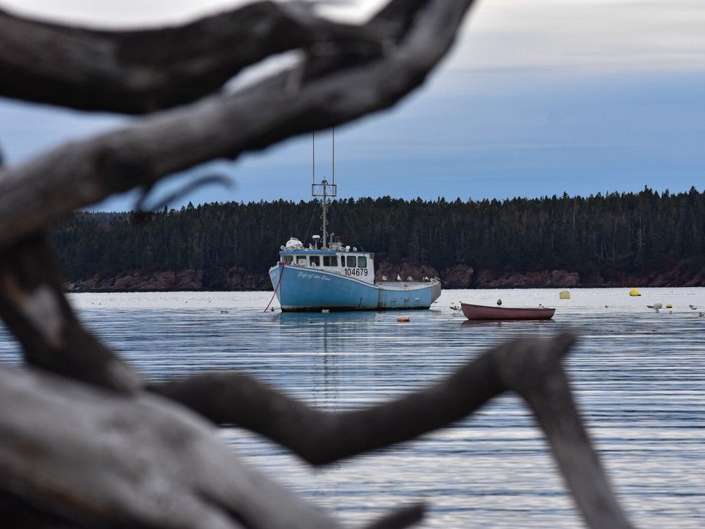 Deal with China removes tariffs on Canadian lobster and crab