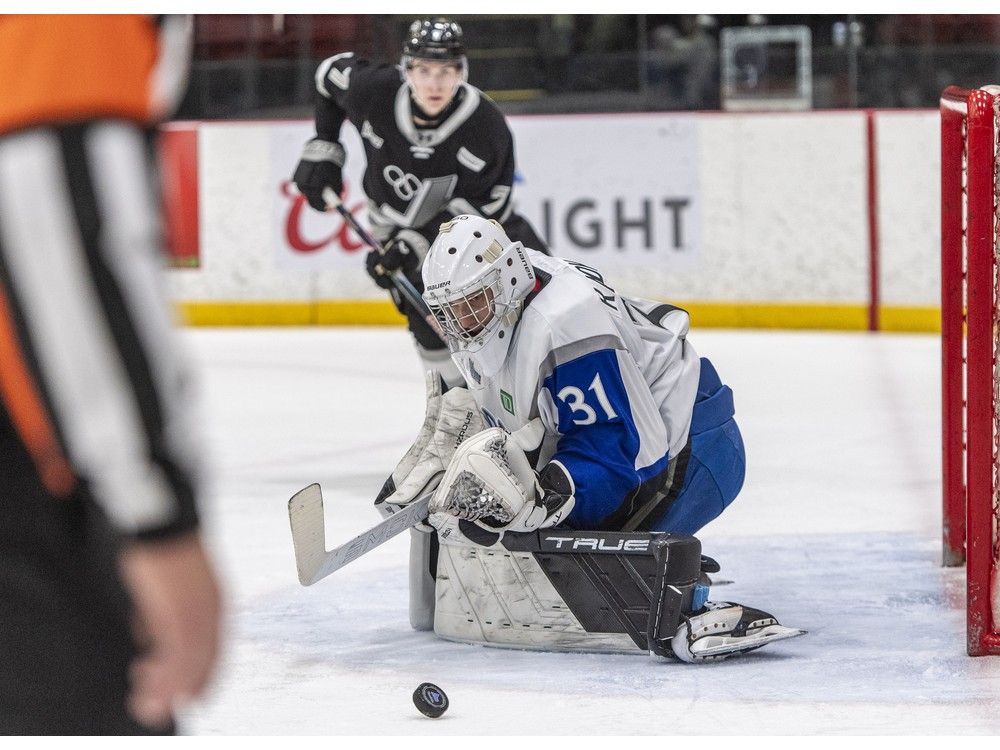 Habs’ prospect Radkov brings ‘pro mentality’ to Sea Dogs