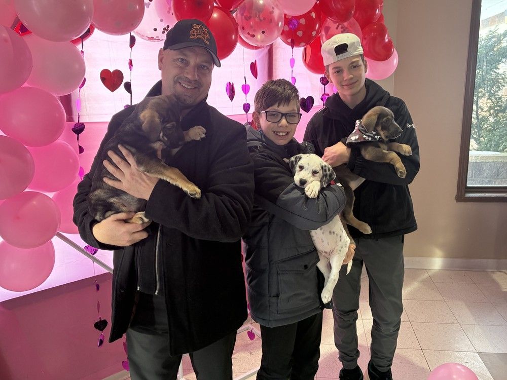 Puppy meet and greet. Three people holding puppes