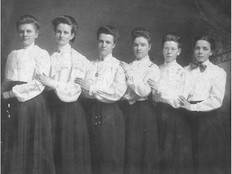 The domestic staff of the Windsor Hotel