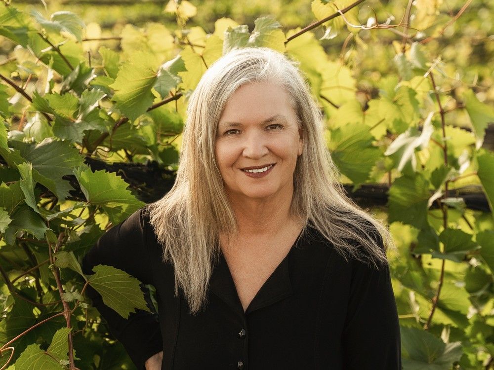 Author's story highlights Stratford panel discussion about intimate partner violence