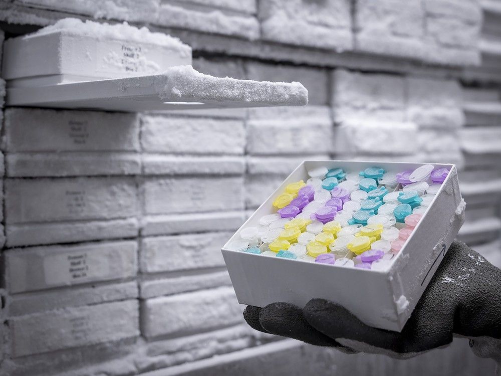 Canada’s largest cancer research tumour bank moves to Kingston hospital