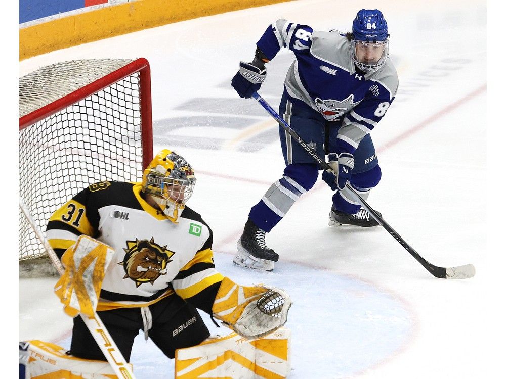 Sudbury Wolves GM Rob Papineau talks OHL draft, off-season priorities