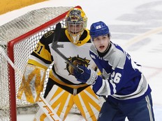 Wolves Bulldogs action