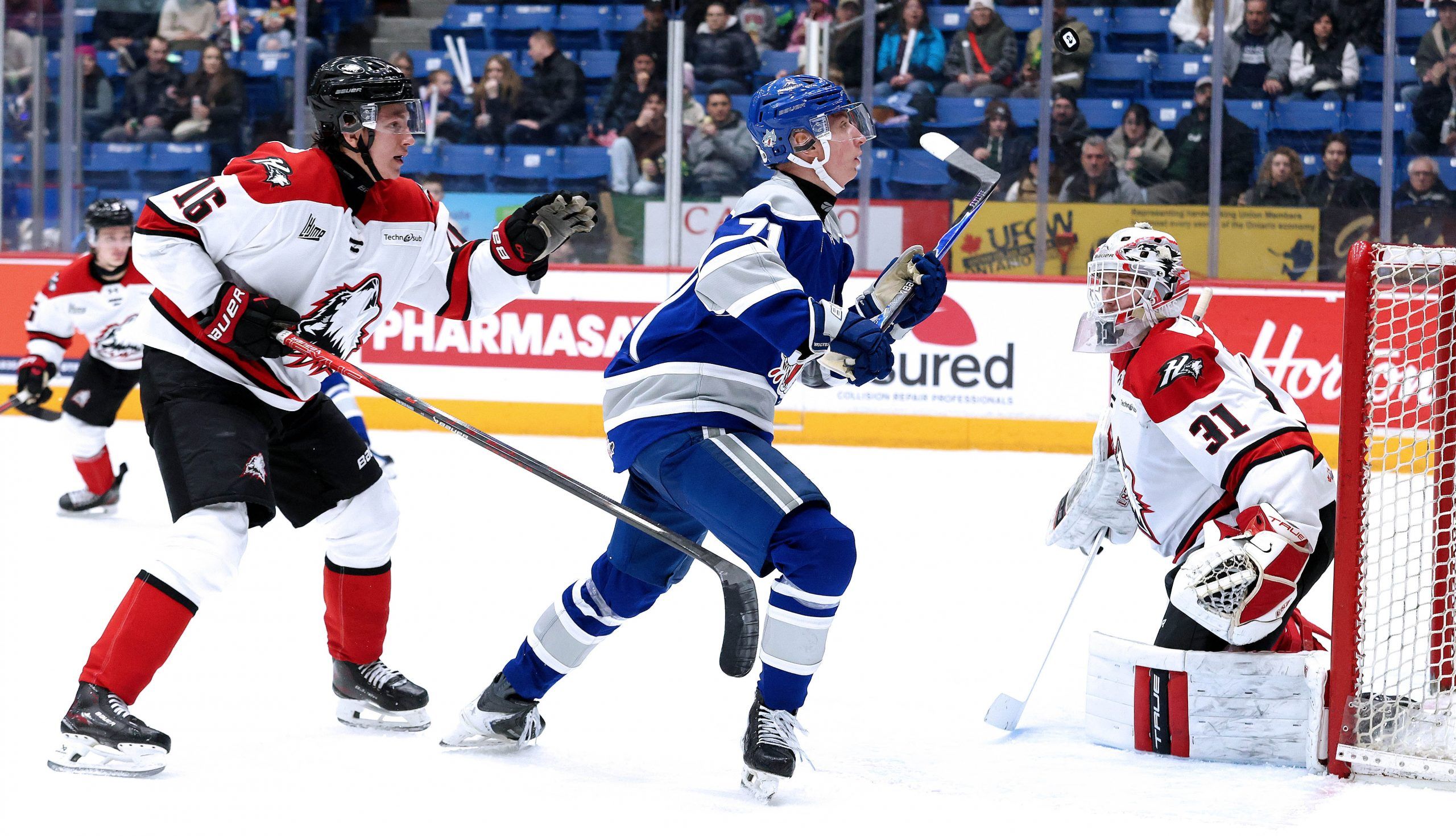 Sudbury Wolves Weekend Wrap-up: Slovak stars Chovan, Nemec deliver on promise