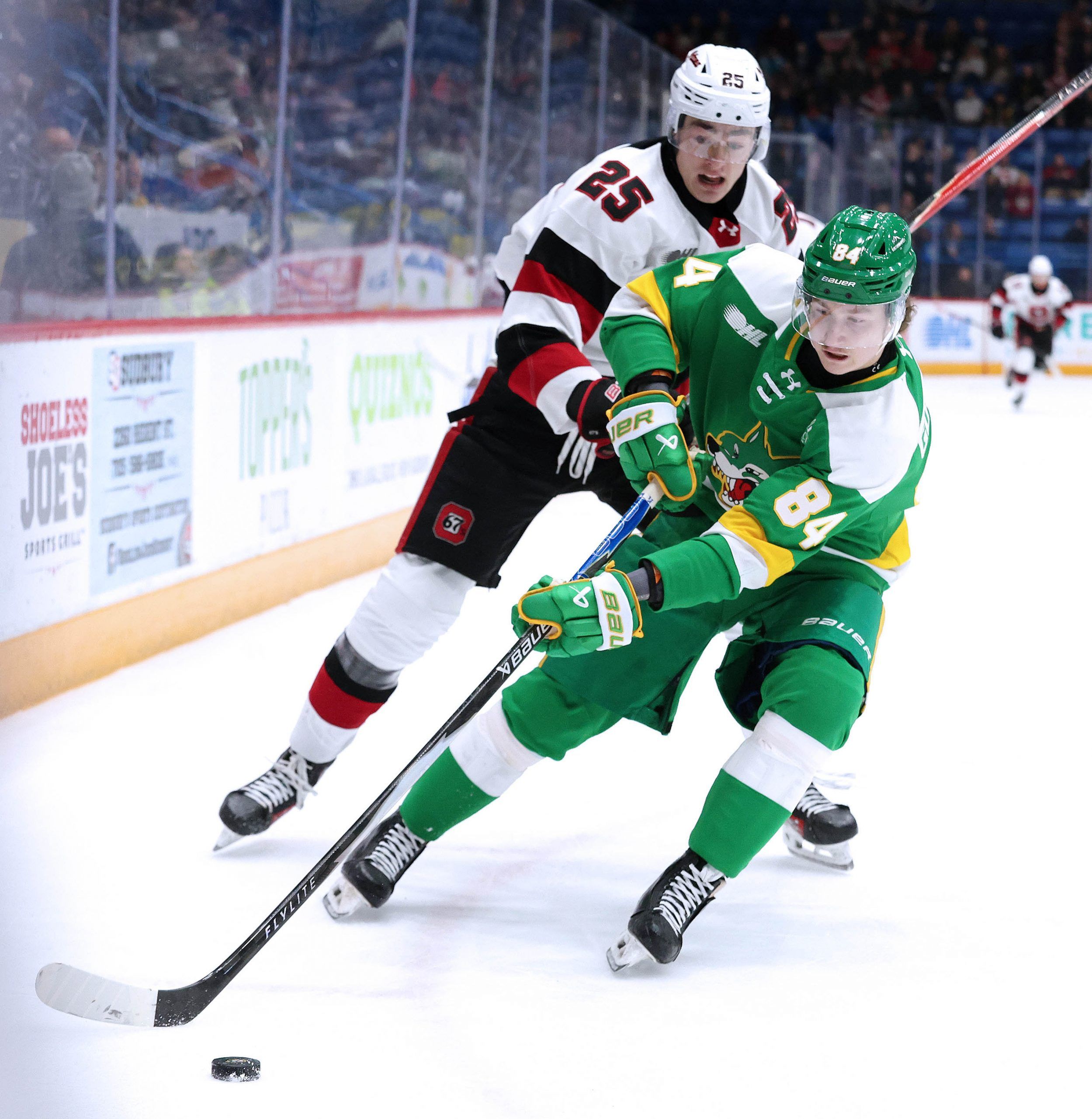 Sudbury Wolves Weekend Wrap-up: Finding bright spots despite defeat