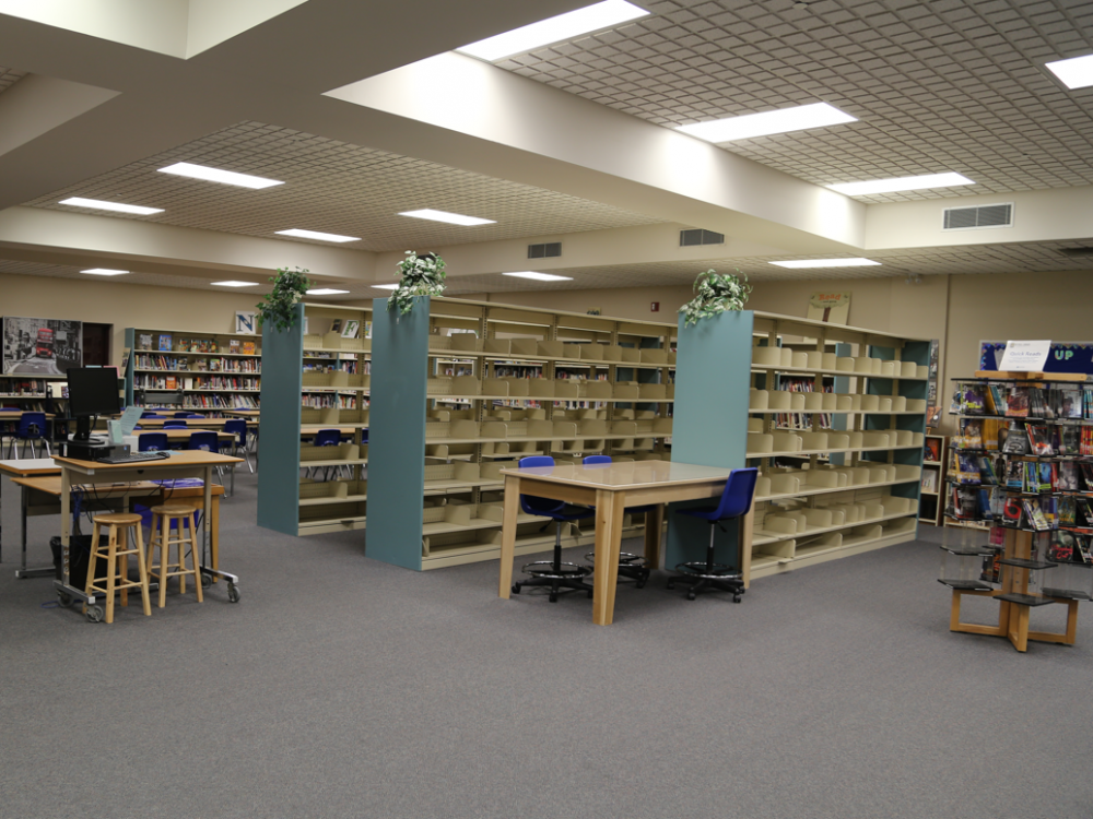 Education minister halts school library culling in midst of London high school controversy