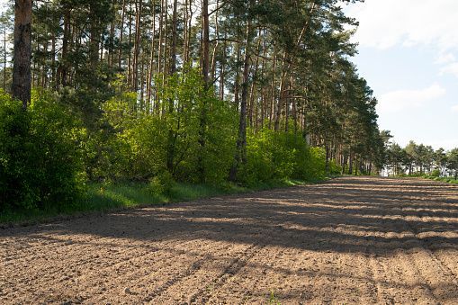 It is all an educated guess with a huge pablum-smeared omission