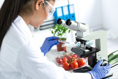 Female microbiologist using microscope in laboratory