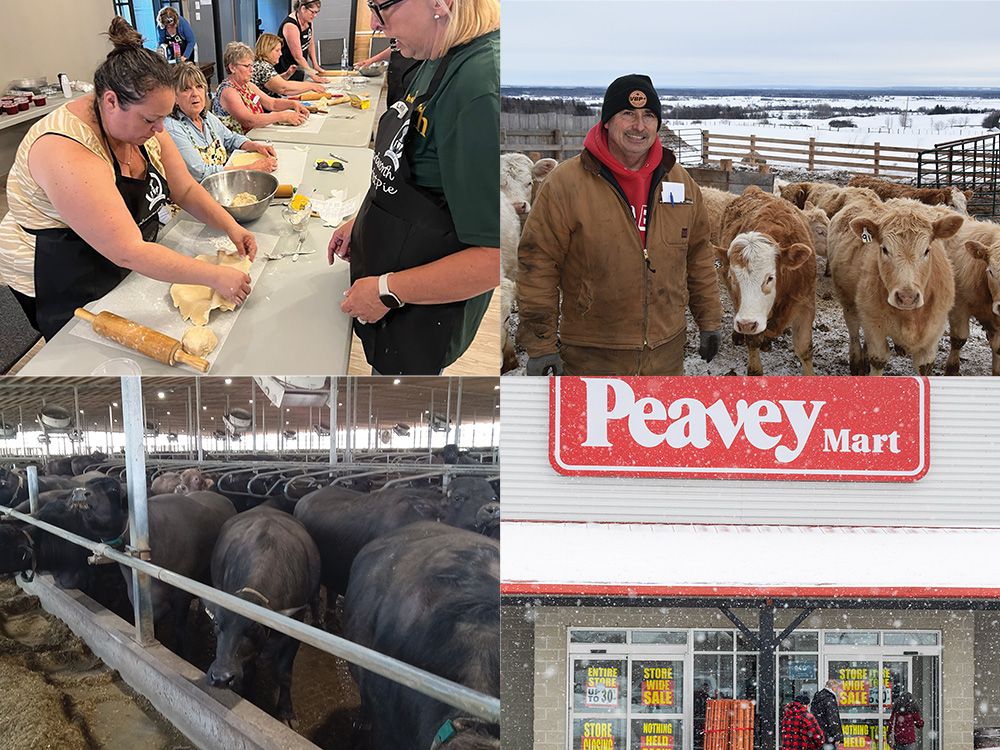 Ontario Farmer's most-read stories of 2025