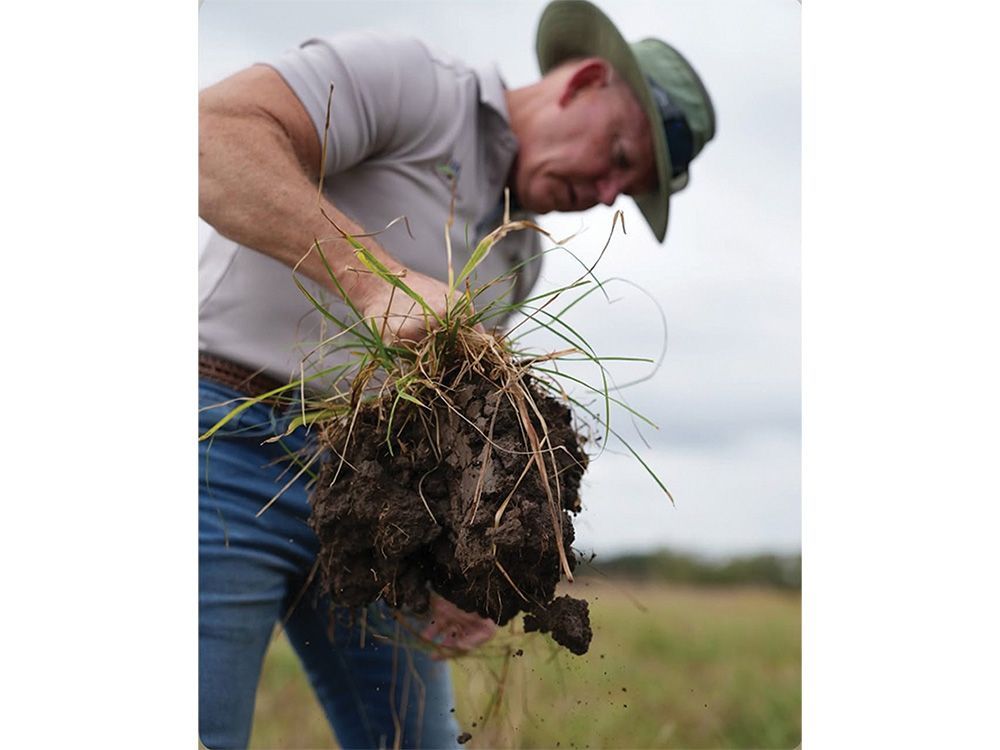 Adaptive grazing will increase water-holding capacity, species, and carbon sequestration