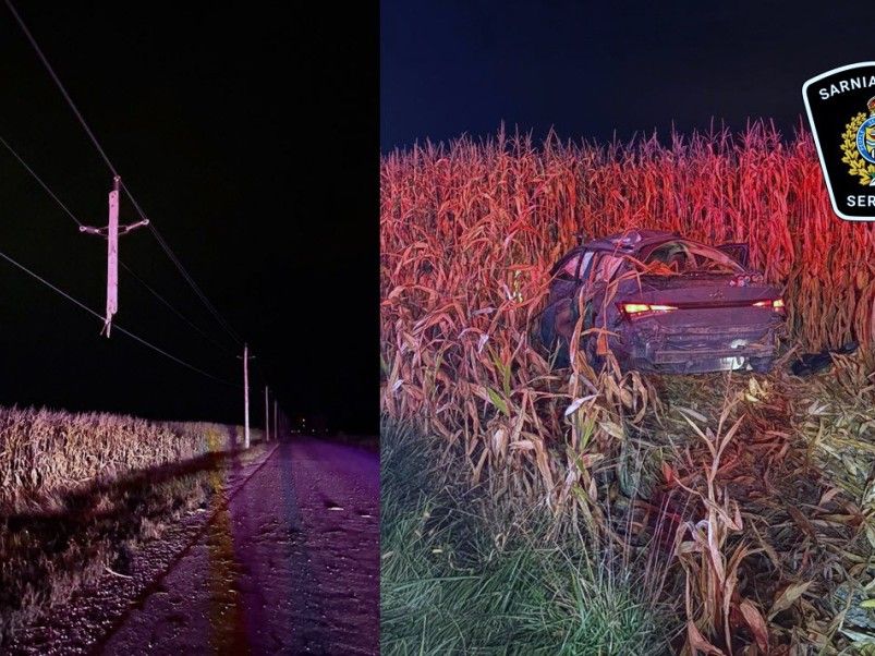 A Sarnia judge told Victor Rivera-Gutierrez one question came to mind after looking at a couple of the photos of his impaired driving crash.