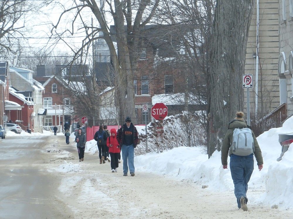 Kingston to create strategy for student housing